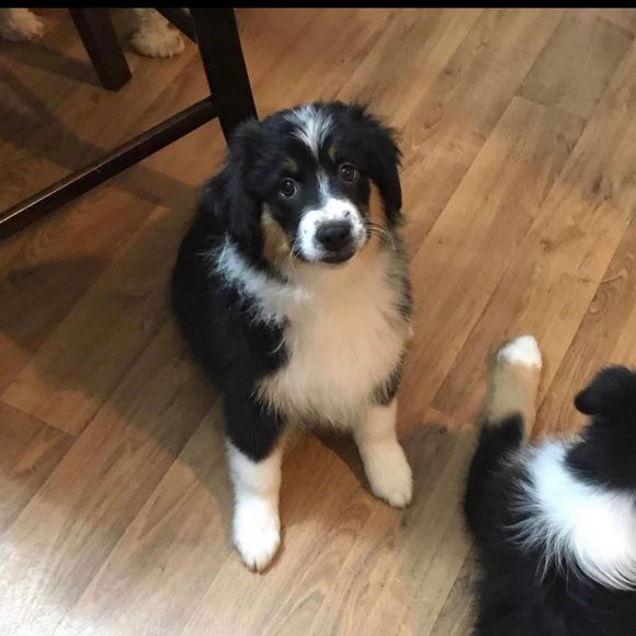 Meet your Posher, Matthew - Picture 1 of 1